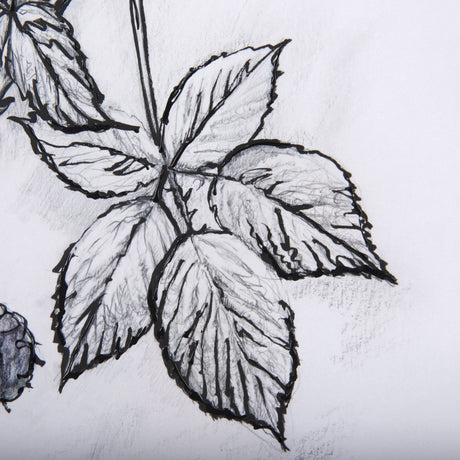 WildBerry Collection Blackberry Mercana Studio Hand Embellished Framed Art Print Matted under Glass by Mercana at Eve Furniture