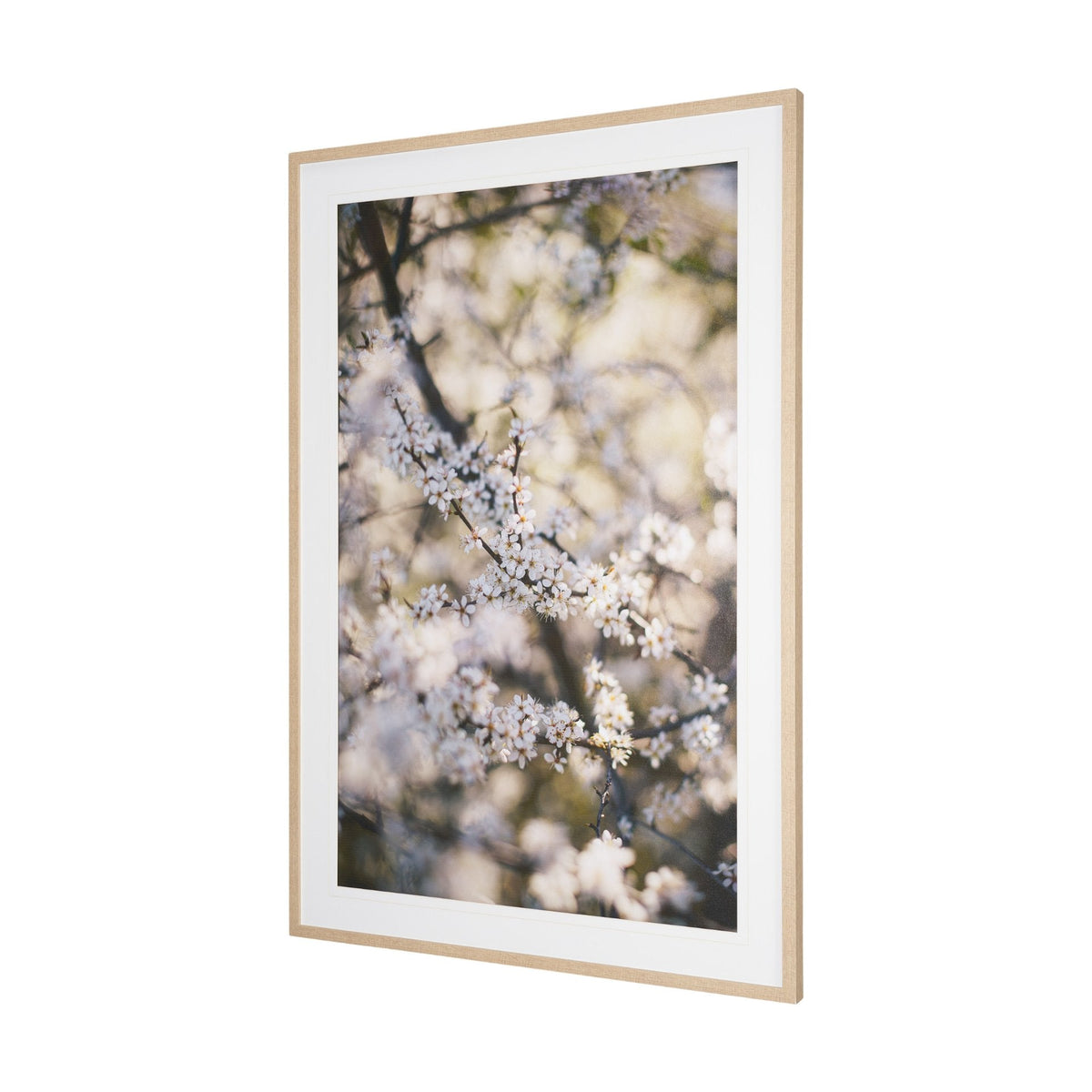Wilde Prunus by Zaira Zarotti Textured Framed Photo Print Matted under Glass by Mercana at Eve Furniture