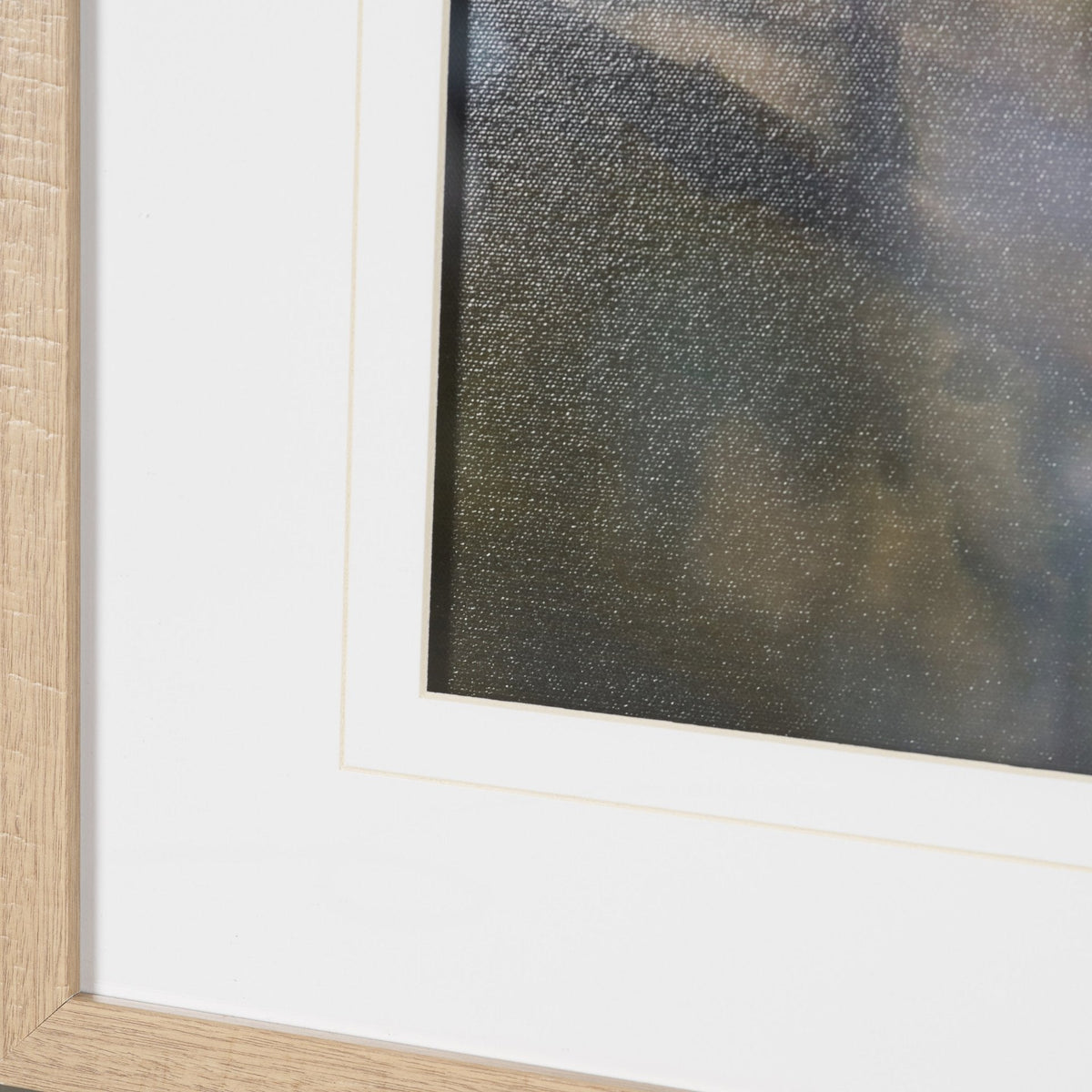 Wilde Prunus by Zaira Zarotti Textured Framed Photo Print Matted under Glass by Mercana at Eve Furniture