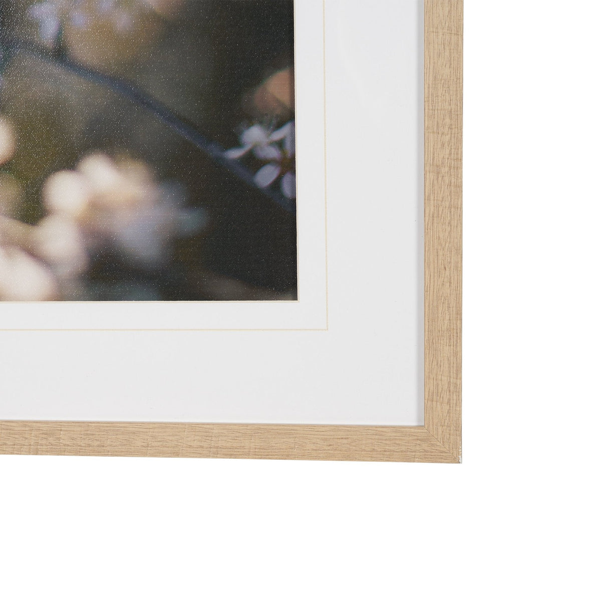 Wilde Prunus by Zaira Zarotti Textured Framed Photo Print Matted under Glass by Mercana at Eve Furniture