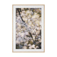 Wilde Prunus by Zaira Zarotti Textured Framed Photo Print Matted under Glass by Mercana at Eve Furniture