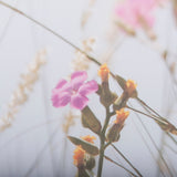 Wildflower Fade - L by Mercana Studio a Framed Photo Art Print Matted under Glass by Mercana at Eve Furniture