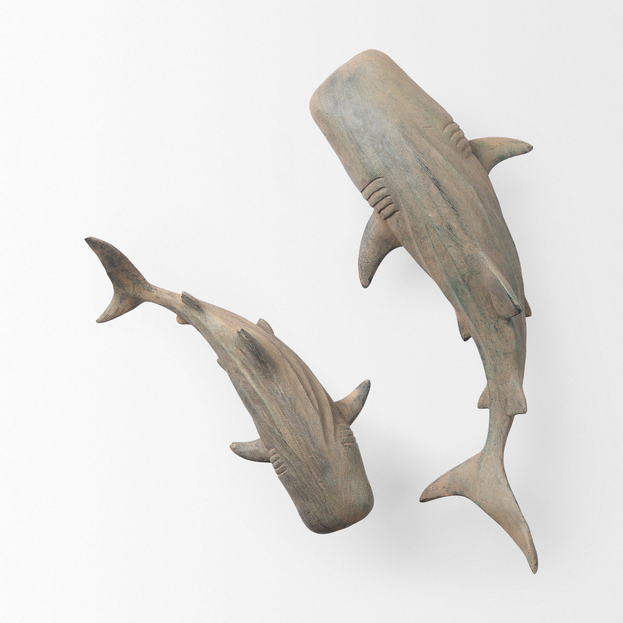 Willa Small Whale Shark sculpture by Mercana at Eve Furniture