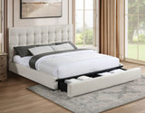 Willa Warm Ivory King Upholstered Bed by Steve Silver at Eve Furniture