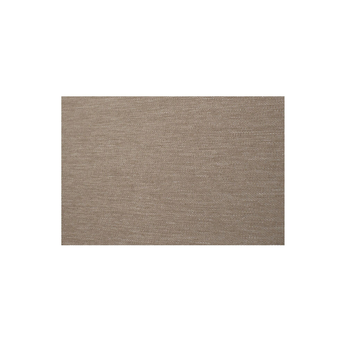 Willow Light Brown Outdoor Accent Chair by Moe's Home at Eve Furniture