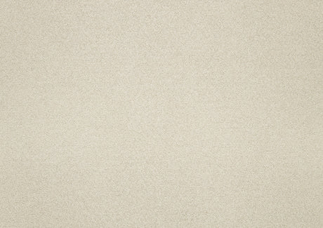 Wilshire Beige Dining Side Chair, Set of 2 by Homelegance at Eve Furniture