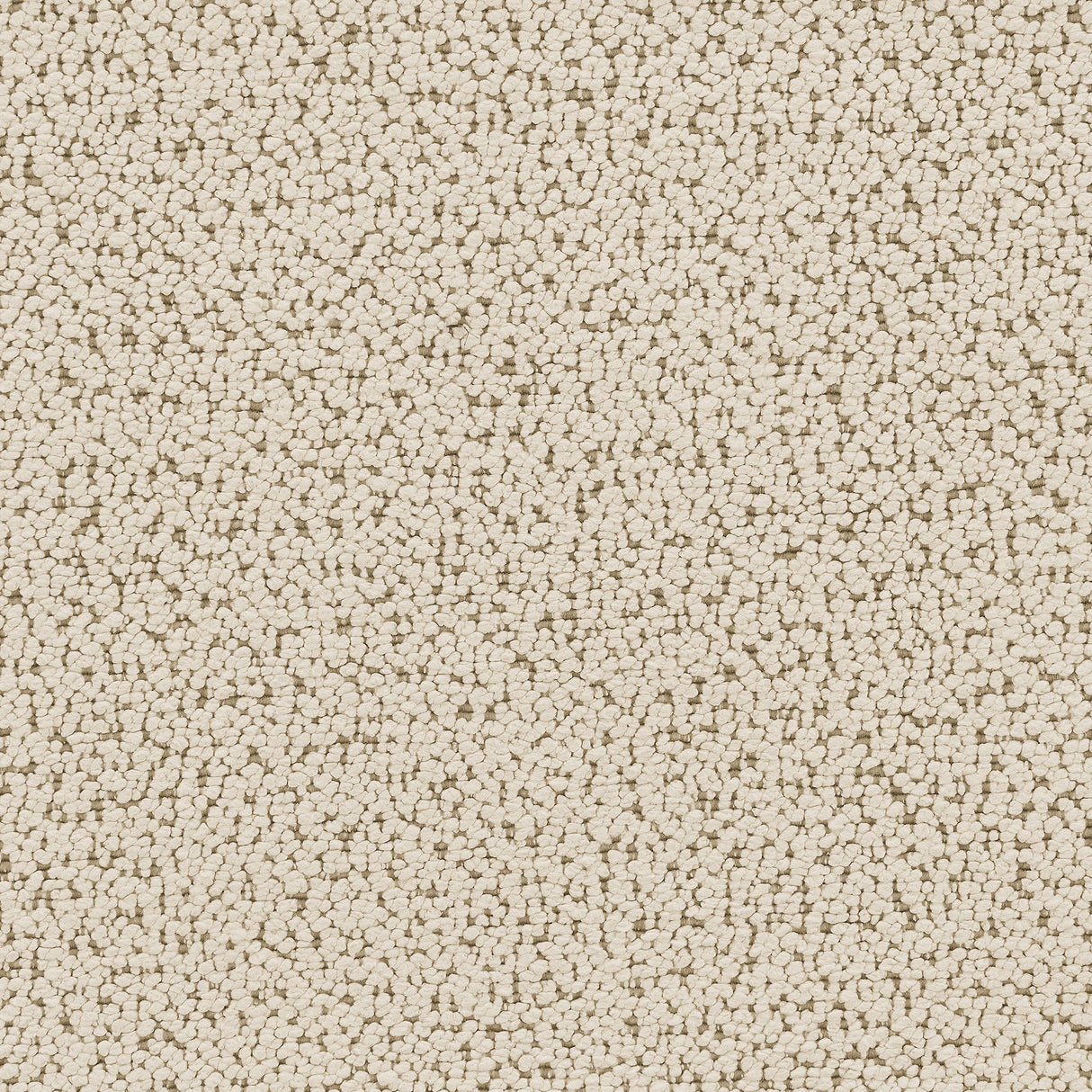 Winchester Boucle Upholstered Chair and a Half Sand Pebble by Coaster at Eve Furniture