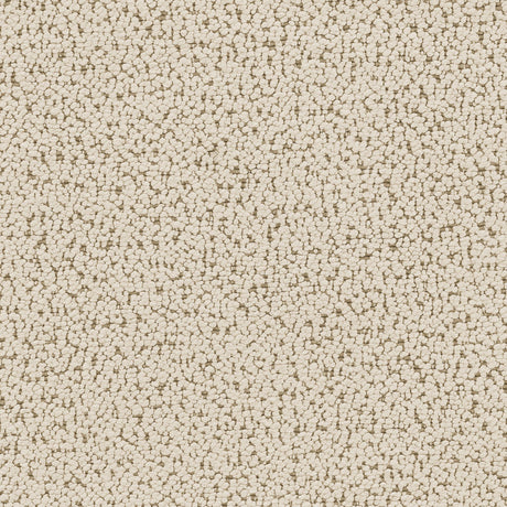 Winchester Boucle Upholstered Chair and a Half Sand Pebble by Coaster at Eve Furniture