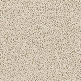 Winchester Sand Pebble Boucle Upholstered Extra Long Sofa by Coaster at Eve Furniture