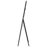 Windrose Black Full Length Floor Standing Tempered Mirror with LED Lighting by Coaster at Eve Furniture