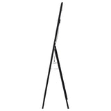 Windrose Black Full Length Floor Standing Tempered Mirror with LED Lighting by Coaster at Eve Furniture