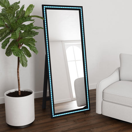 Windrose Black Full Length Floor Standing Tempered Mirror with LED Lighting by Coaster at Eve Furniture