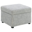 Winter Gray Upholstered Hydraulic Lift Top Storage Ottoman by Coaster at Eve Furniture