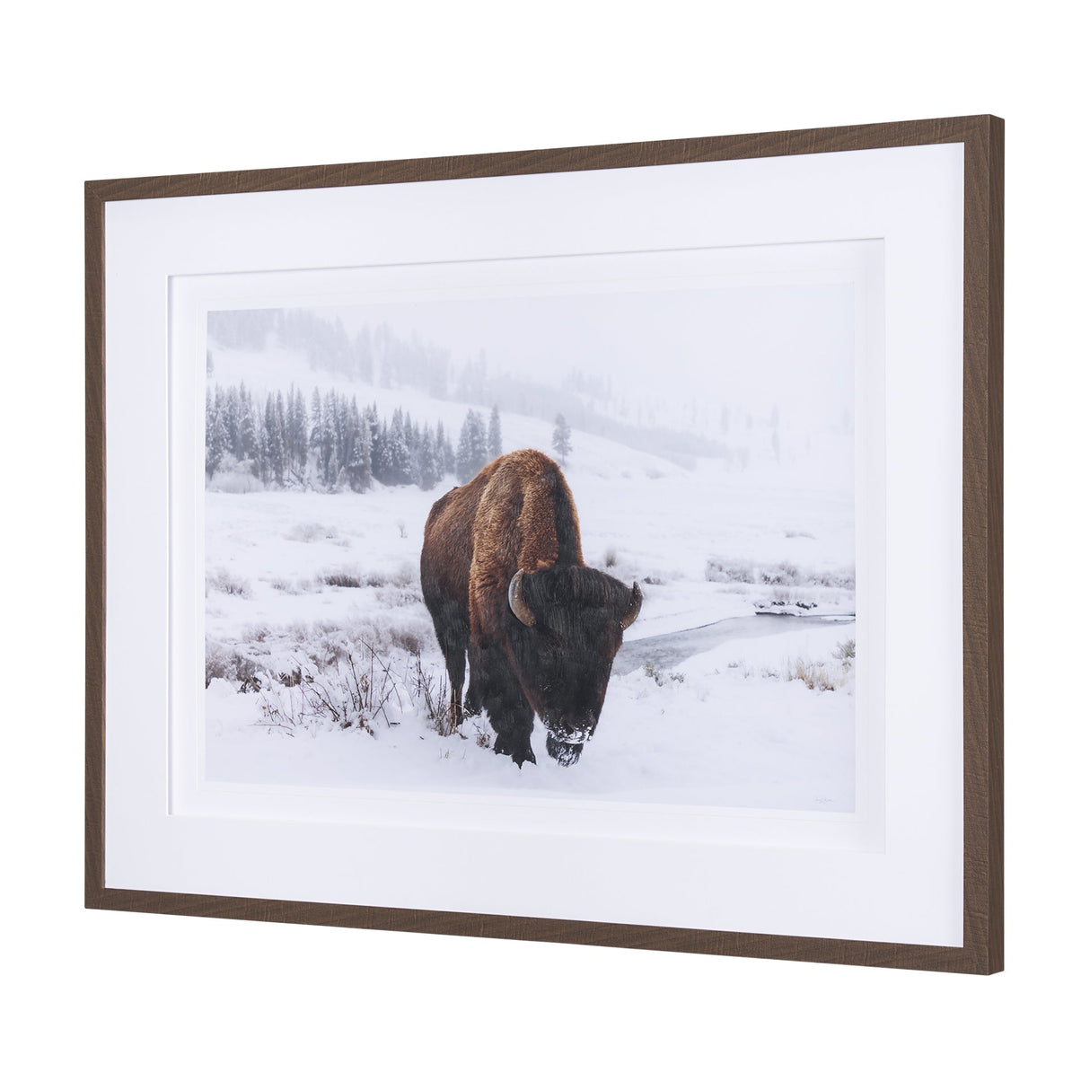 Winter in Paradise by Gary Blatter a Hand Embellished Textured Framed Photo Art Print Matted under G by Mercana at Eve Furniture