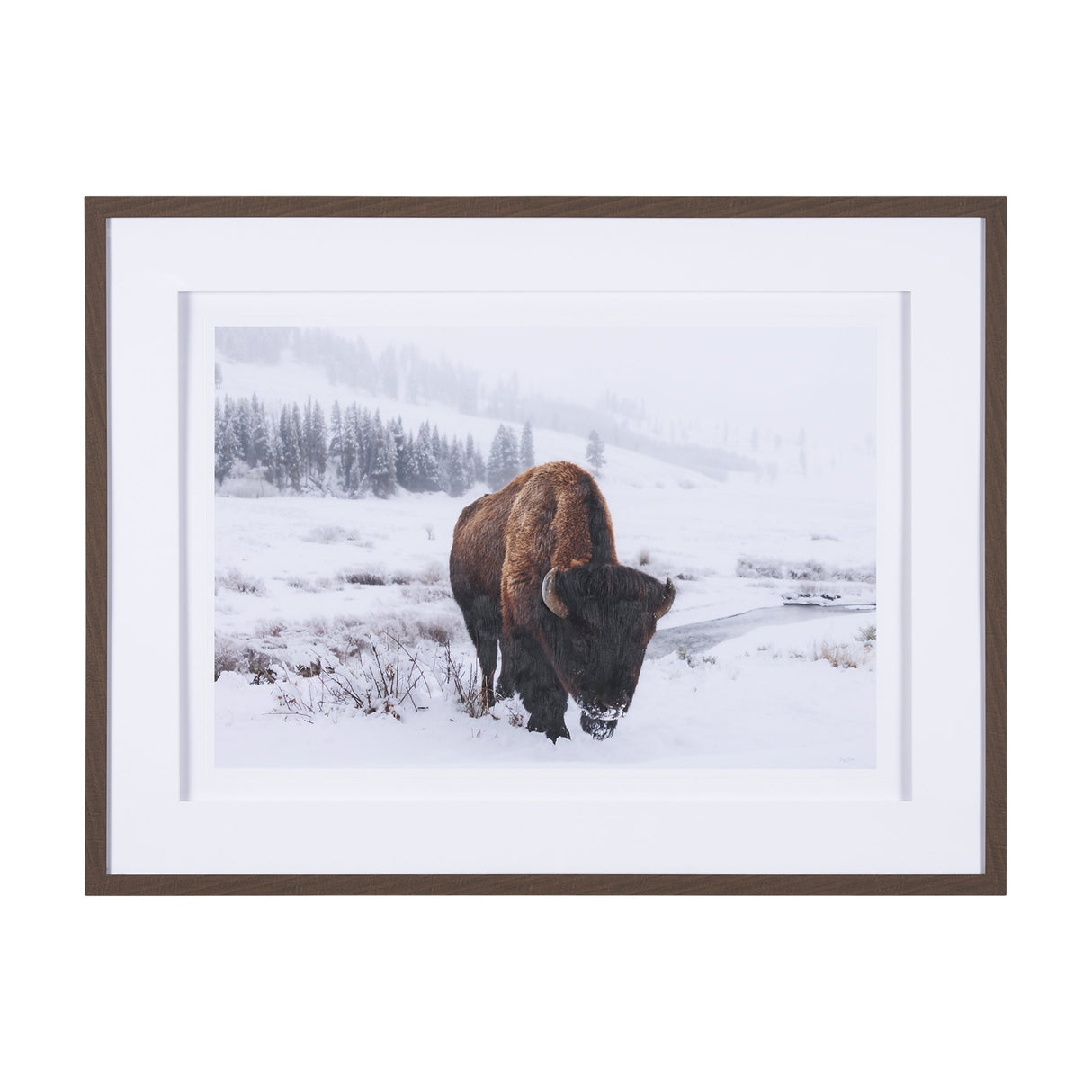 Winter in Paradise by Gary Blatter a Hand Embellished Textured Framed Photo Art Print Matted under G by Mercana at Eve Furniture