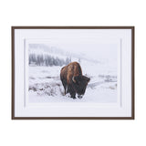 Winter in Paradise by Gary Blatter a Hand Embellished Textured Framed Photo Art Print Matted under G by Mercana at Eve Furniture