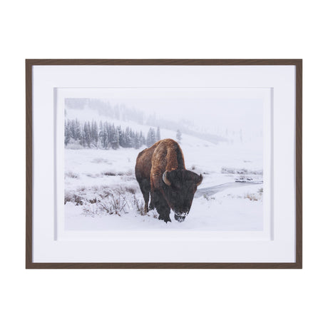 Winter in Paradise by Gary Blatter a Hand Embellished Textured Framed Photo Art Print Matted under G by Mercana at Eve Furniture