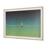 Wired Finch by Nathan Larson a Hand Embellished Framed Photo Art Print Matted under Glass by Mercana at Eve Furniture