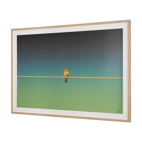 Wired Finch by Nathan Larson a Hand Embellished Framed Photo Art Print Matted under Glass by Mercana at Eve Furniture