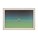 Wired Finch by Nathan Larson a Hand Embellished Framed Photo Art Print Matted under Glass by Mercana at Eve Furniture
