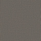Wisom Gray Dining Chair (Set of 2) by Zuomod at Eve Furniture