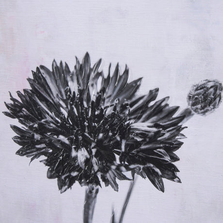 Wonderful Wildflowers VIII Neutral by Deborah Revell a Hand Embellished Framed Art Print Matted unde by Mercana at Eve Furniture