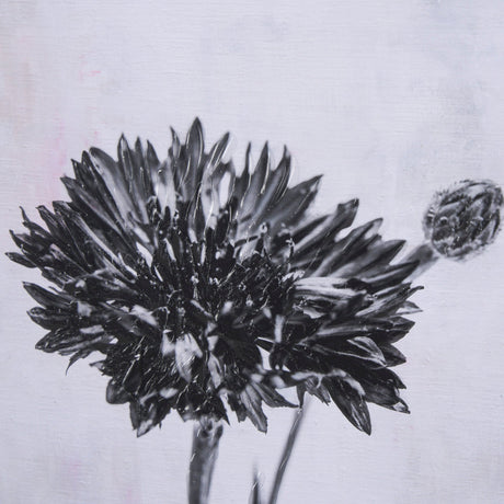Wonderful Wildflowers XVI Neutral by Deborah Revell a Hand Embellished Framed Art Print Matted under by Mercana at Eve Furniture