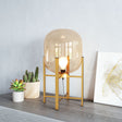 Wonderwall Gold Table Lamp by Zuomod at Eve Furniture