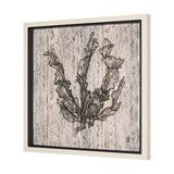 Wood Grain Sea Plant I by Mercana Studio a Hand Embellished Textured Framed Art Print by Mercana at Eve Furniture