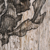 Wood Grain Sea Plant I by Mercana Studio a Hand Embellished Textured Framed Art Print by Mercana at Eve Furniture