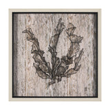 Wood Grain Sea Plant I by Mercana Studio a Hand Embellished Textured Framed Art Print by Mercana at Eve Furniture