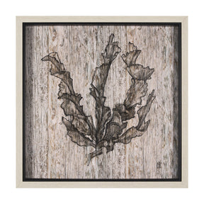 Wood Grain Sea Plant I by Mercana Studio a Hand Embellished Textured Framed Art Print by Mercana at Eve Furniture
