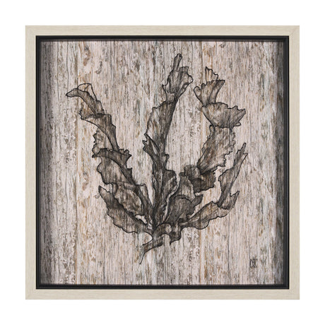 Wood Grain Sea Plant I by Mercana Studio a Hand Embellished Textured Framed Art Print by Mercana at Eve Furniture