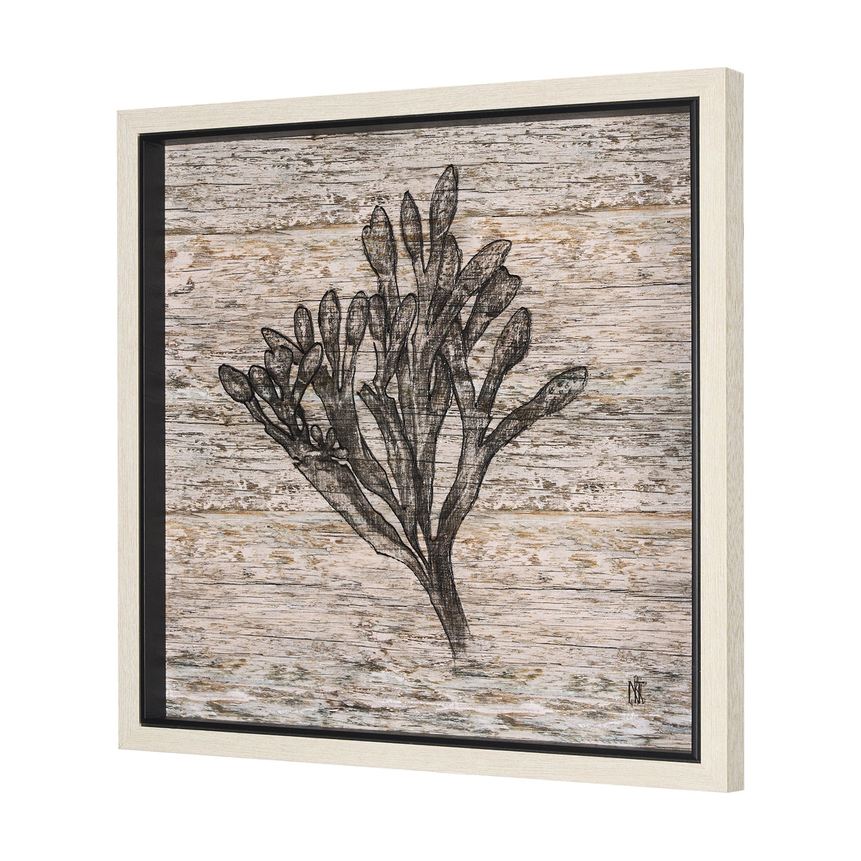Wood Grain Sea Plant II by Mercana Studio a Hand Embellished Textured Framed Art Print by Mercana at Eve Furniture