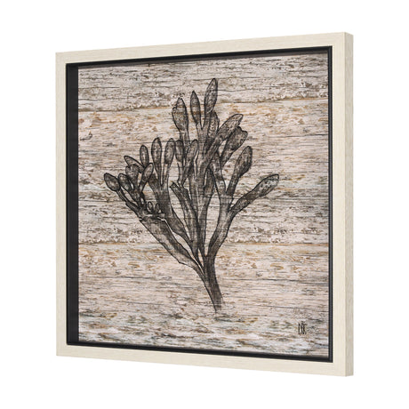 Wood Grain Sea Plant II by Mercana Studio a Hand Embellished Textured Framed Art Print by Mercana at Eve Furniture