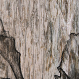 Wood Grain Sea Plant II by Mercana Studio a Hand Embellished Textured Framed Art Print by Mercana at Eve Furniture