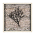 Wood Grain Sea Plant II by Mercana Studio a Hand Embellished Textured Framed Art Print by Mercana at Eve Furniture