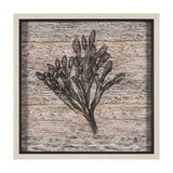 Wood Grain Sea Plant II by Mercana Studio a Hand Embellished Textured Framed Art Print by Mercana at Eve Furniture