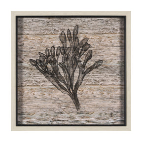 Wood Grain Sea Plant II by Mercana Studio a Hand Embellished Textured Framed Art Print by Mercana at Eve Furniture
