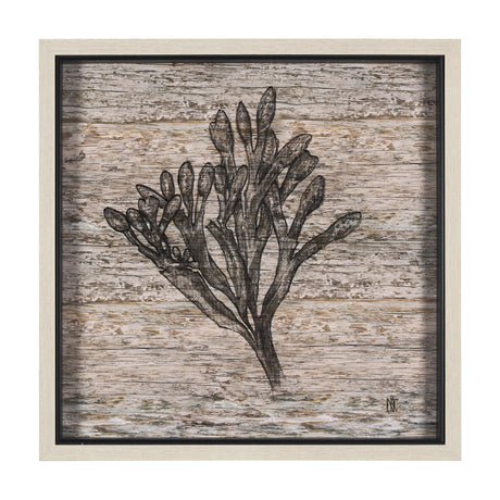 Wood Grain Sea Plant II by Mercana Studio a Hand Embellished Textured Framed Art Print by Mercana at Eve Furniture