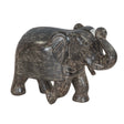 Wooden Elephant by Home Trends & Design at Eve Furniture
