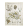 Woodland Chart III by Sue Schlabach a Hand Embellished Textured Canvas by Mercana at Eve Furniture
