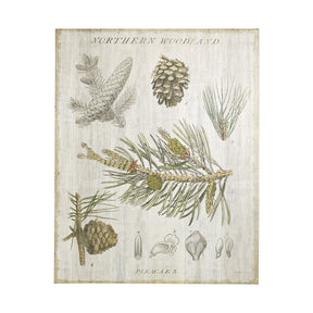 Woodland Chart III by Sue Schlabach a Hand Embellished Textured Canvas by Mercana at Eve Furniture
