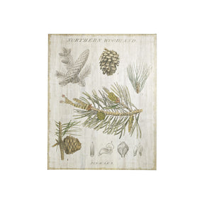 Woodland Chart III by Sue Schlabach a Hand Embellished Textured Canvas by Mercana at Eve Furniture