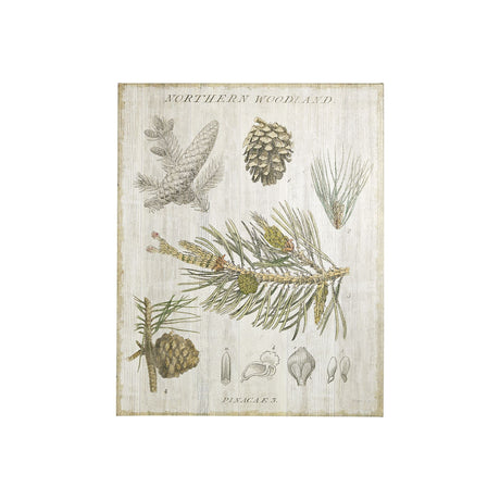 Woodland Chart III by Sue Schlabach a Hand Embellished Textured Canvas by Mercana at Eve Furniture
