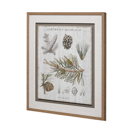 Woodland Chart III by Sue Schlabach a Hand Embellished Textured Framed Art Print Matted under Glass by Mercana at Eve Furniture
