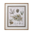 Woodland Chart III by Sue Schlabach a Hand Embellished Textured Framed Art Print Matted under Glass by Mercana at Eve Furniture