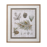 Woodland Chart III by Sue Schlabach a Hand Embellished Textured Framed Art Print Matted under Glass by Mercana at Eve Furniture