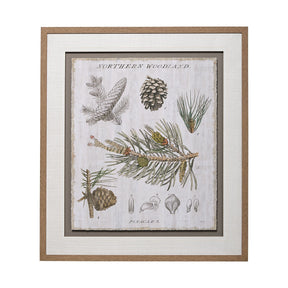Woodland Chart III by Sue Schlabach a Hand Embellished Textured Framed Art Print Matted under Glass by Mercana at Eve Furniture