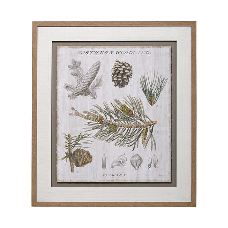 Woodland Chart III by Sue Schlabach a Hand Embellished Textured Framed Art Print Matted under Glass by Mercana at Eve Furniture